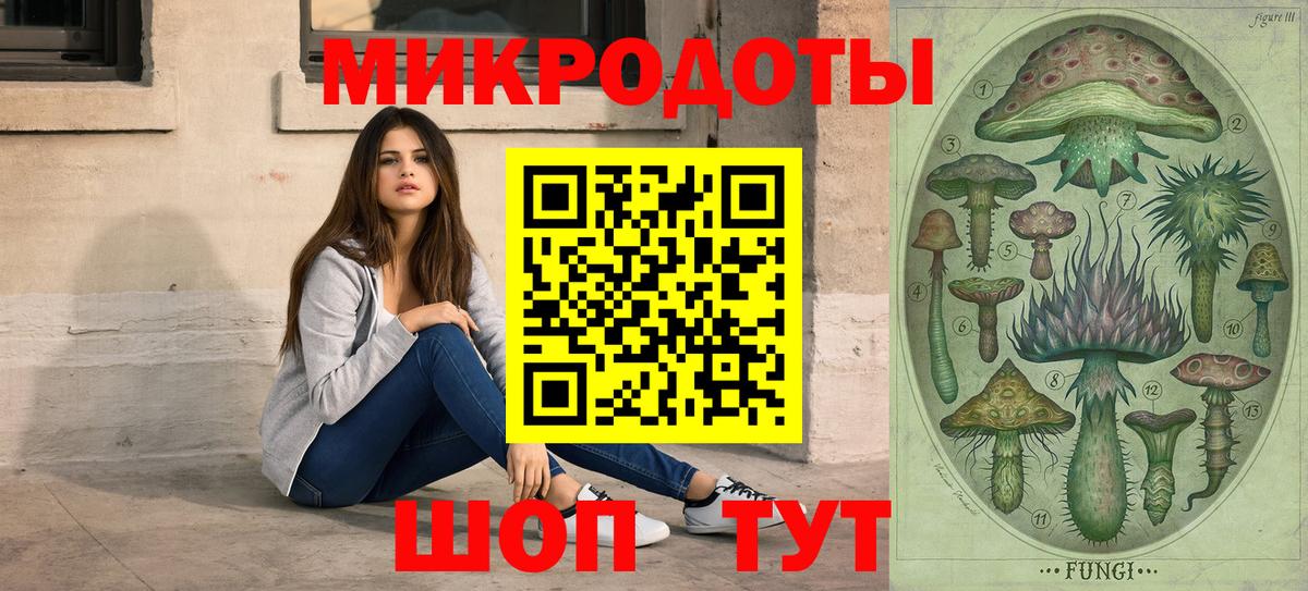 Псилоцибиновые грибы GOLDEN TEACHER Дивногорск