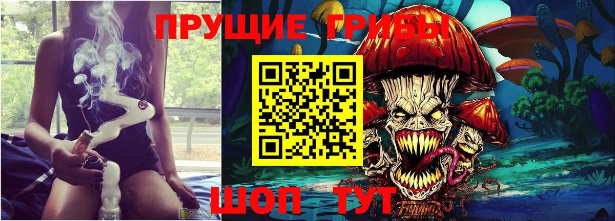Дивногорск  Галлюциногенные грибы мухоморы  Вход с VPN  Галлюциногенные грибы Psilocybe 